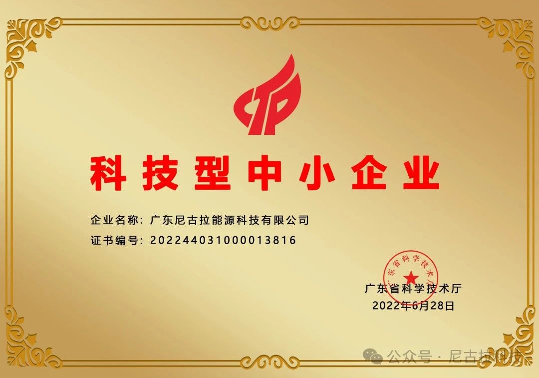 【奋进新征程2024】瑞“兔”辞旧岁,祥“龙”启新春