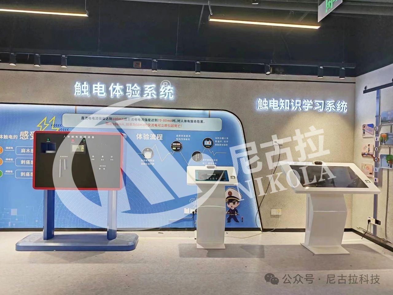 【奋进新征程2024】瑞“兔”辞旧岁,祥“龙”启新春