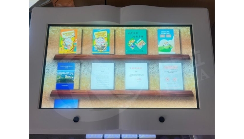 Electronic Flipping Book Device